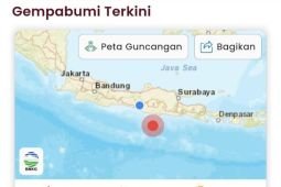 Gempa bumi tektonik magnitudo 6,4 guncang Pacitan