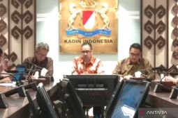 Kadin sebut regulasi perlu tetap memberi ruang tumbuh ekonomi digital