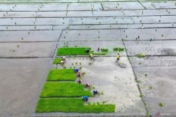 BPS sebut NTP Jatim pada Januari 2026 turun 4,42 persen