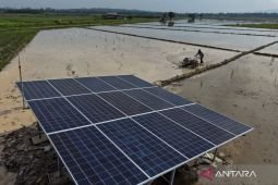 ESDM perjuangkan panel surya produksi dalam negeri tak kena tarif AS