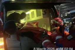 Seorang pengendara tewas tertimpa pohon tumbang