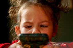 Kemenag: Pembatasan medsos lindungi anak dari pornografi hingga judol