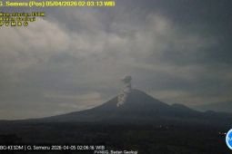 Semeru erupsi disertai letusan awan panas sejauh 3,5 km