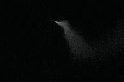 BMKG sebut benda langit bercahaya di Malang bukan rudal