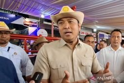 Wamentan: Stok daging sapi aman saat Idul Adha
