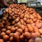 Harga pangan Sabtu ini, telur ayam ras Rp32.300/kg dan cabai rawit Rp71.550/kg