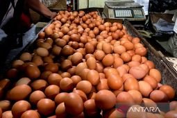 Harga pangan Sabtu ini, telur ayam ras Rp32.300/kg dan cabai rawit Rp71.550/kg