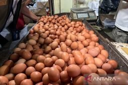 Harga pangan Jumat ini, telur ayam Rp32.000 per kg dan bawang merah Rp45.950 per kg