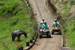 Destinasi agro wisata Tamansuruh Banyuwangi