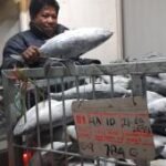 KKP ajak pengusaha terapkan “Stelina” perluas akses pasar global