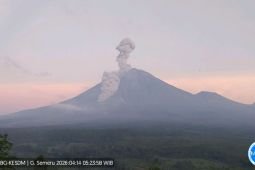 Semeru erupsi disertai luncuran awan panas guguran sejauh 3 km