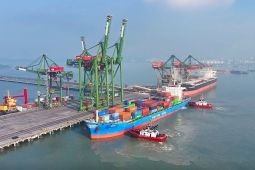 PT TTL catatkan arus peti kemas capai 694.996 TEUs kuartal I 2026