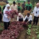 Penguatan pendidikan vokasi sekolah kejuruan di Jatim
