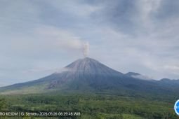 Semeru alami erupsi lima kali dengan tinggi letusan hingga 1.000 meter