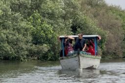 PDIP Surabaya pantau kondisi lingkungan pesisir waspadai abrasi laut