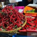 Harga pangan Sabtu ini, cabai rawit Rp60.000/kg dan telur ayam Rp31.000/kg