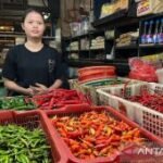 Harga pangan Senin ini, cabai rawit Rp61.050/kg dan telur ayam Rp33.950/kg
