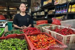 Harga pangan Senin ini, cabai rawit Rp61.050/kg dan telur ayam Rp33.950/kg