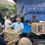 Mendag ungkap nilai ekonomi dari ekosistem burung kicau capai Rp2 T