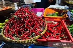 Harga pangan Selasa ini, cabai rawit Rp77.300/kg dan telur ayam Rp31.800/kg