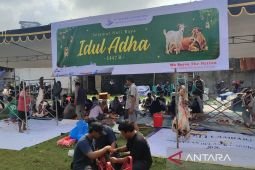 DLU bagikan 6.000 paket daging kurban untuk masyarakat