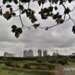 BMKG: Selasa ini Surabaya berpotensi berawan tebal