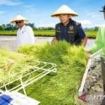 Pemkab Bangkalan tingkatkan produksi pertanian melalui modernisasi alat
