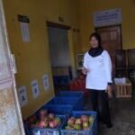 Petani Banyuwangi olah buah naga afkir jadi produk bernilai tambah