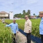 Prabowo targetkan Indonesia jadi lumbung pangan dunia