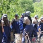 PTFI perkuat pengelolaan sampah pesisir berbasis ekonomi sirkular