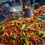 Harga pangan Jumat ini, cabai rawit Rp69.750/kg dan telur ayam Rp29.750/kg