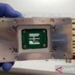 BRIN explores purple bacteria as a renewable power source