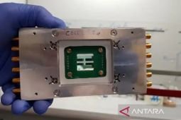 BRIN explores purple bacteria as a renewable power source