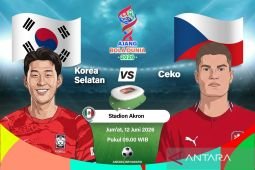 Republik Ceko dan Afrika Selatan main imbang 1-1