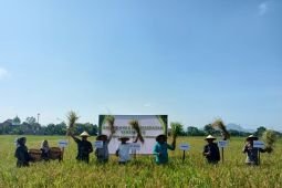 Tulungagung perkuat posisi sebagai lumbung pangan daerah