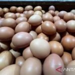 Sabtu pagi, harga telur ayam Rp29.750/kg, bawang merah Rp50.950/kg
