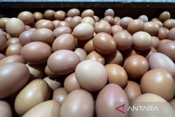Sabtu pagi, harga telur ayam Rp29.750/kg, bawang merah Rp50.950/kg