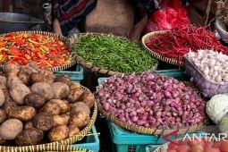 Harga pangan Selasa ini, cabai rawit Rp75.150 per kg dan telur ayam Rp30.350 per kg