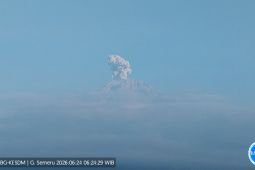 Semeru alami erupsi dengan tinggi letusan 600 meter di atas puncak
