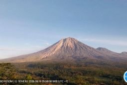 BPBD Lumajang imbau warga tetap waspada terhadap APG Semeru