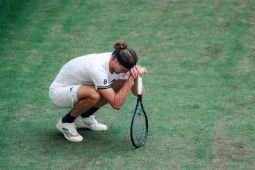 Fritz capai final ATP 500 Halle Jerman setelah singkirkan Zverev