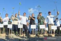 Indonesia to restore 700,000 hectares of damaged mangroves