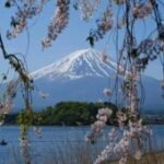 Jepang naikkan biaya visa untuk pertama kali setelah 48 tahun