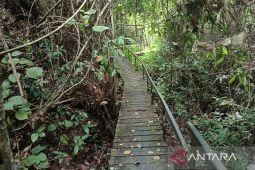 Menjelajah Taman Nasional Kutai,  orangutan hingga Goa Sampemarta