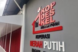 Wamenkop dorong KDKMP bangun ekosistem ekonomi desa