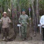 PT SGN perkuat ekosistem industri gula nasional