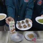 Mahasiswa Ubaya ciptakan cemilan sehat dari daun mangga dan kulit kacang