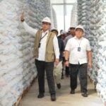 Bulog serap 3,5 juta ton setara beras petani demi perkuat pangan RI