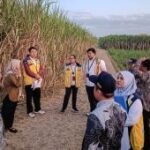 Kementerian PU pastikan kelayakan lahan Sekolah Rakyat Tulungagung