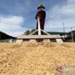Bulog prioritaskan penggilingan rakyat guna perkuat ekonomi daerah